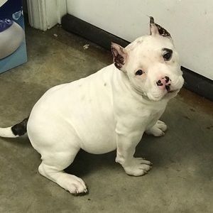 Meet your Posher, Marco